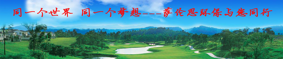 关于萨伦思